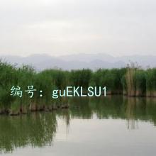м
