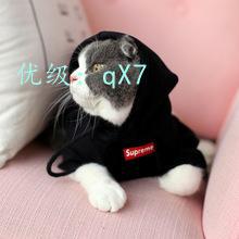 Ҿ